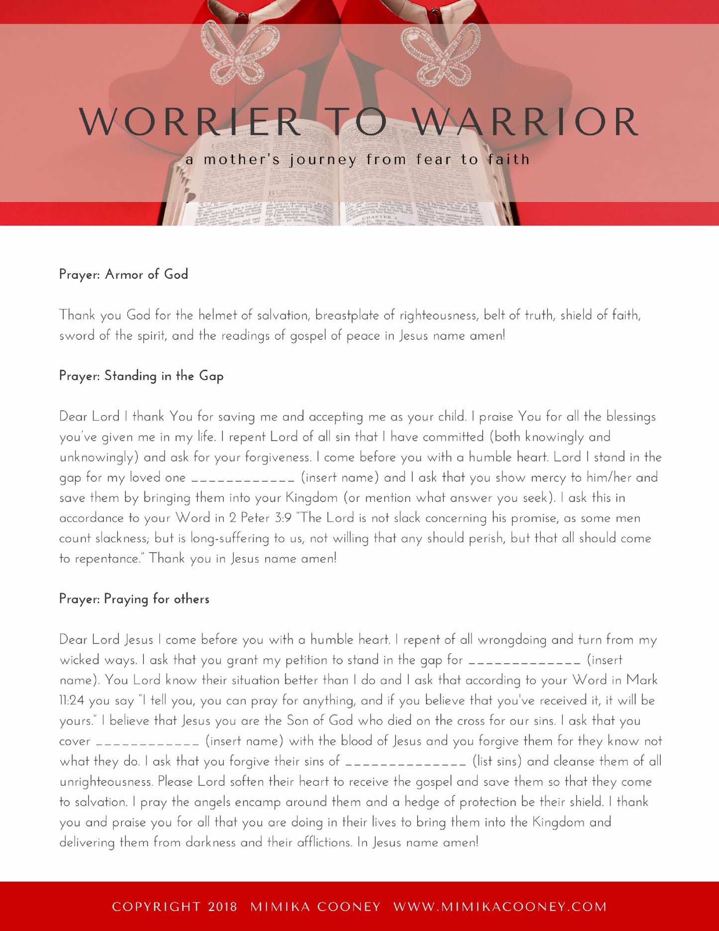 Activation Prayer Guide Worrier to Warrior Book  (Printable 16 page Guide)