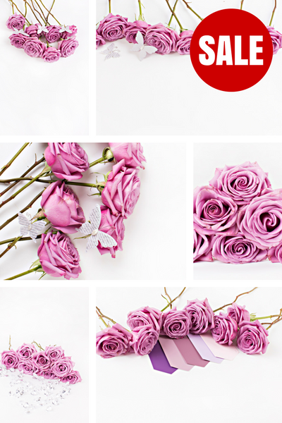 Stock Photo BUNDLE (Set of 10) Purple Roses
