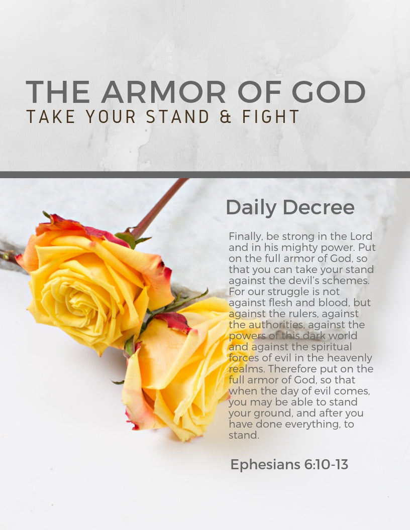 Mindset Make-Over: How to Renew your Mind and Walk in God's Authority (EBOOK)